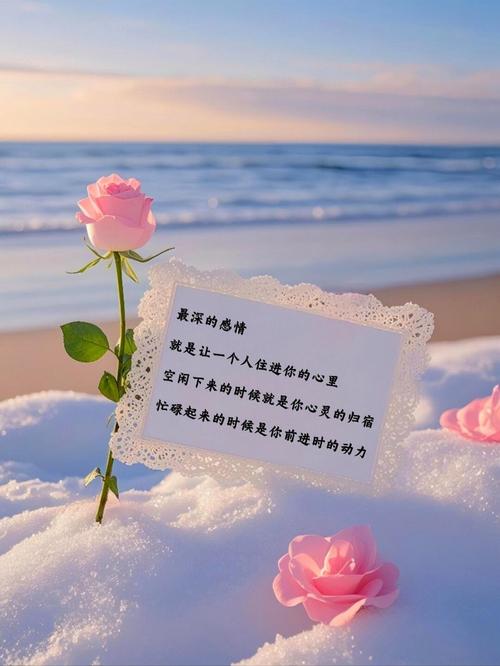 以爱之名,想念一段时光 第1张 以爱之名,想念一段时光 第1张