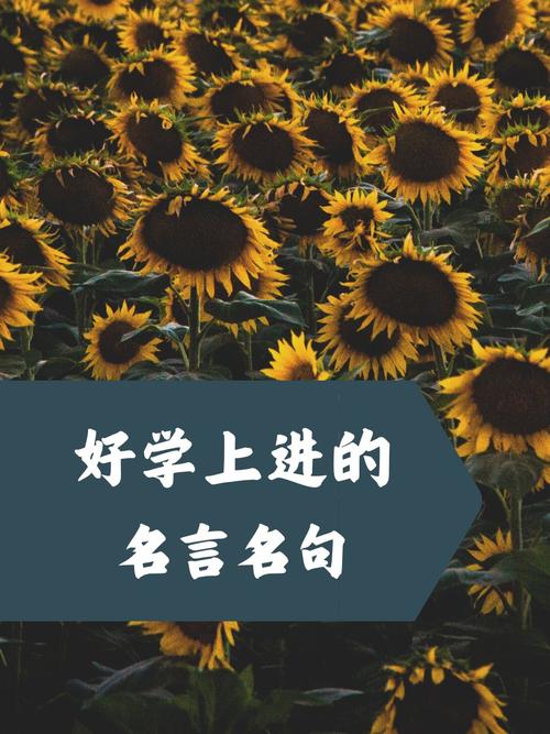 好学上进的名言名句，好学上进，砥砺前行的名言警句  第1张