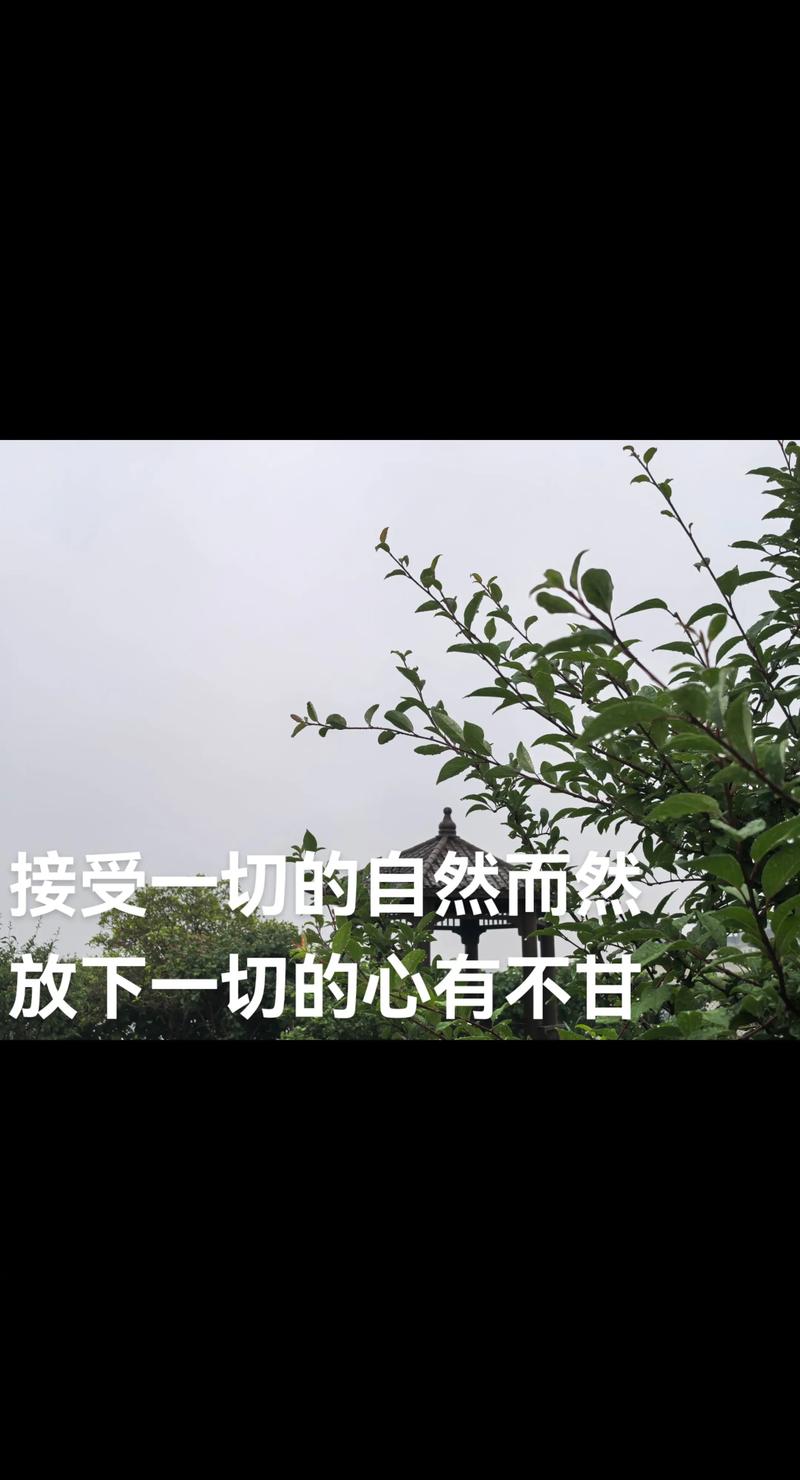 放下一切,放下一切,心灵的解脱与自由之路 第1张 放下一切,放下一切,心灵的解脱与自由之路 第1张