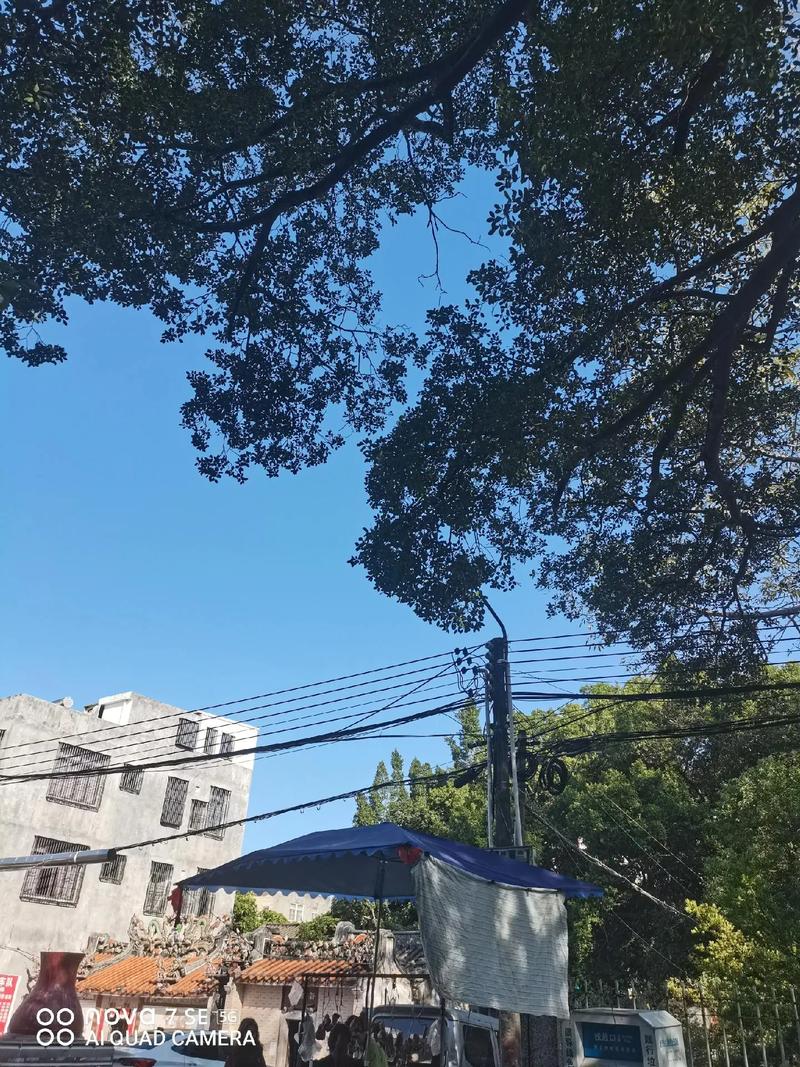 南国的冬 第1张 南国的冬 第1张