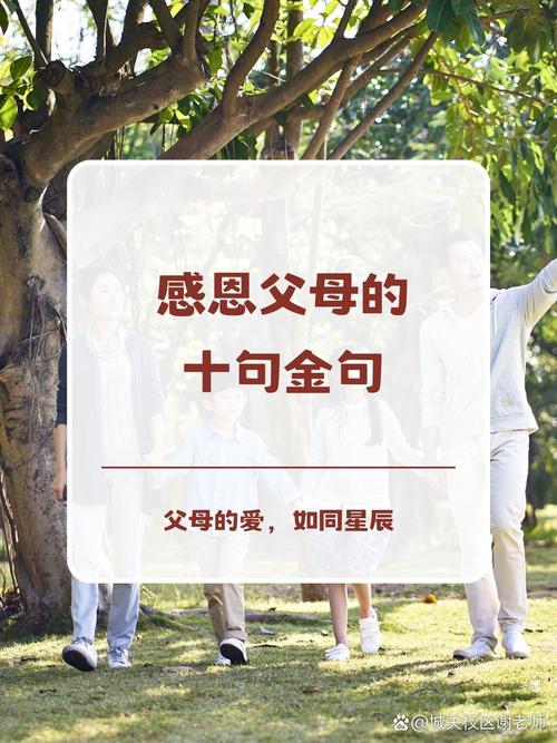 感恩父母的名言名句,感恩父母,情深似海——名言名句 第1张 感恩父母的名言名句,感恩父母,情深似海——名言名句 第1张