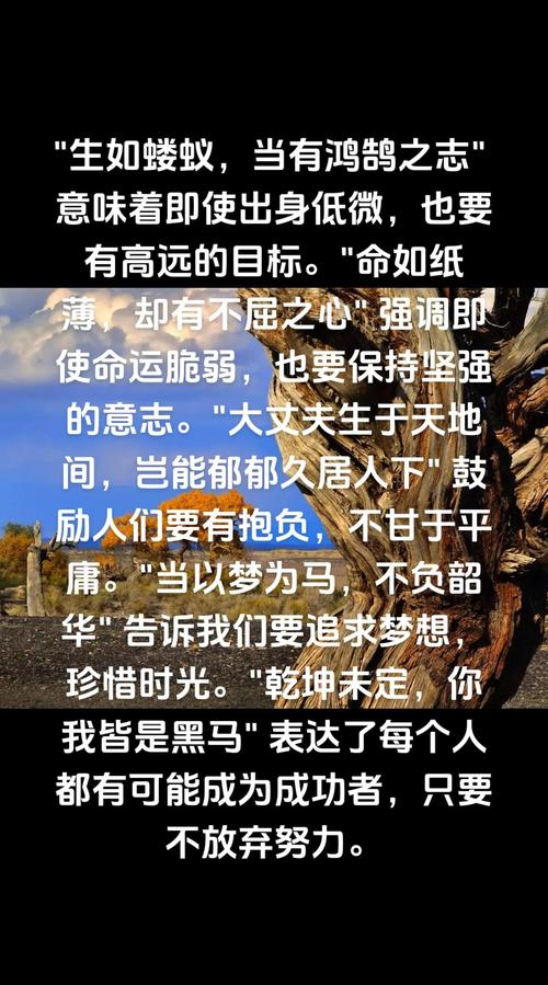 经典励志短语,说一万句壮志豪言,不行动你还是碌碌无为 第1张 经典励志短语,说一万句壮志豪言,不行动你还是碌碌无为 第1张