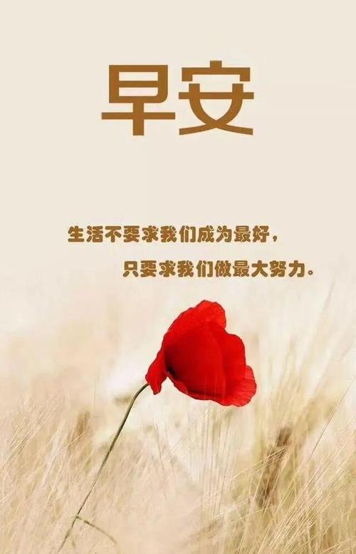 2021霸气有正能量句子,2021年正能量满满的霸气句子 第1张 2021霸气有正能量句子,2021年正能量满满的霸气句子 第1张