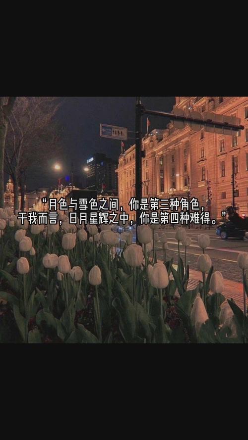 跟星星有关的唯美句子 | 山野千里,你是我藏在星星里的浪漫 第1张 跟星星有关的唯美句子 | 山野千里,你是我藏在星星里的浪漫 第1张