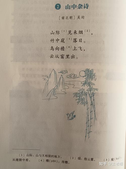 自古咏鸟诗词精选,哪首最入你心? 第1张 自古咏鸟诗词精选,哪首最入你心? 第1张