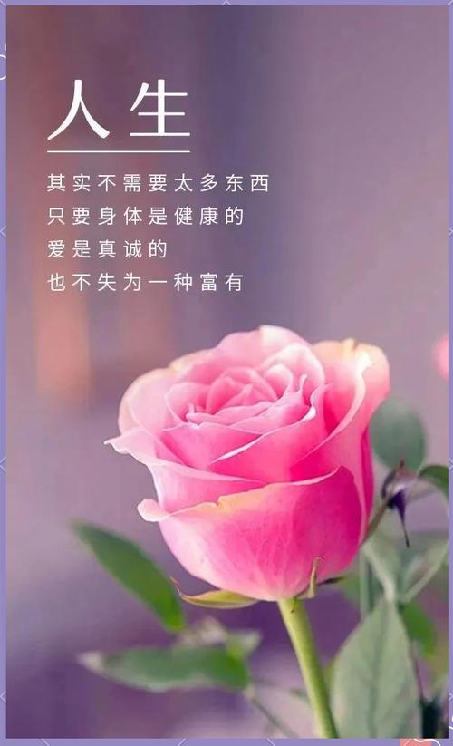 表达人生感悟的精辟句子,人生感悟,精辟句子,洞悉生活真谛 第1张 表达人生感悟的精辟句子,人生感悟,精辟句子,洞悉生活真谛 第1张