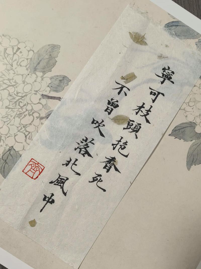 枕着绵软清香入梦 第1张 枕着绵软清香入梦 第1张