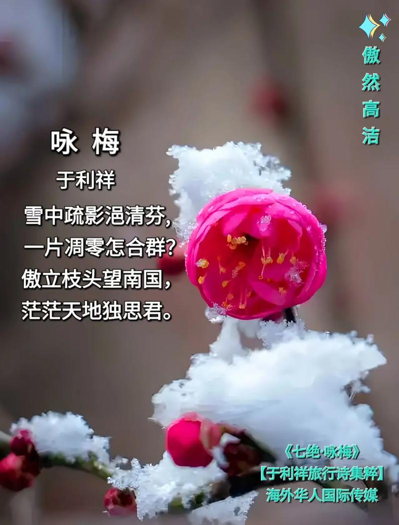 雪花为我带来了牵挂 第1张 雪花为我带来了牵挂 第1张