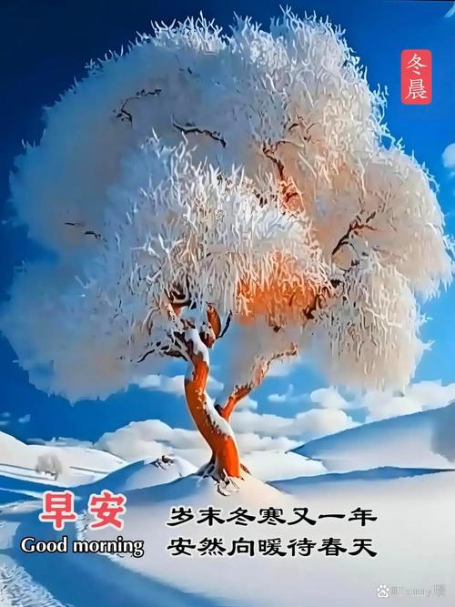 冬日向暖 第1张 冬日向暖 第1张
