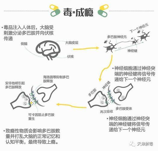 毒品带来的伤害 第1张 毒品带来的伤害 第1张