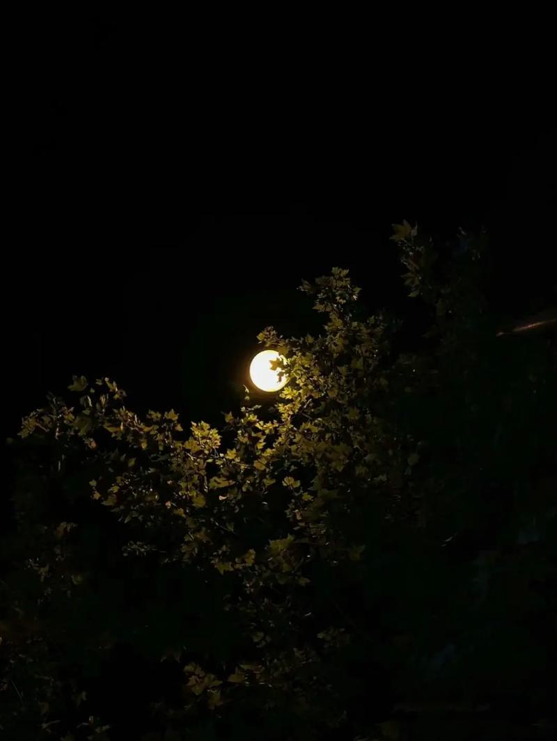 深夜  第1张