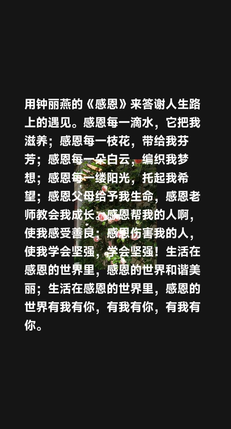 我用什么来答谢你  第1张