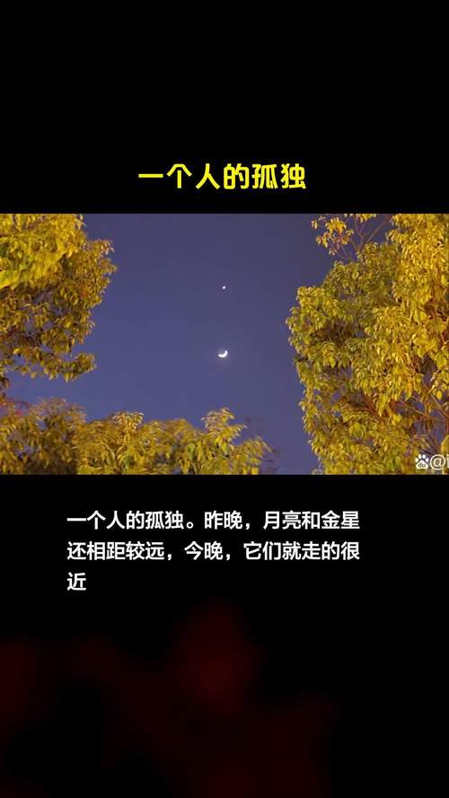 一身孤寂在天涯 第1张 一身孤寂在天涯 第1张