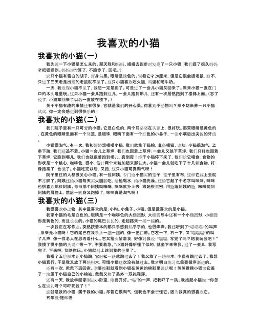 难忘的一只猫 第1张 难忘的一只猫 第1张