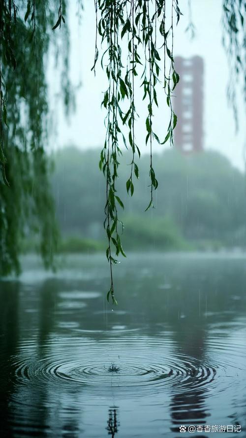 五月,小雨飘起来的时候 第1张 五月,小雨飘起来的时候 第1张
