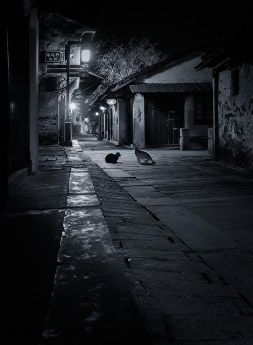 静静的夜 第1张 静静的夜 第1张
