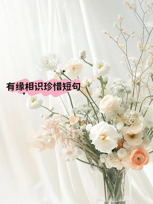 珍惜彼此感情的句子,珍惜心间情深意长的句子 第1张 珍惜彼此感情的句子,珍惜心间情深意长的句子 第1张