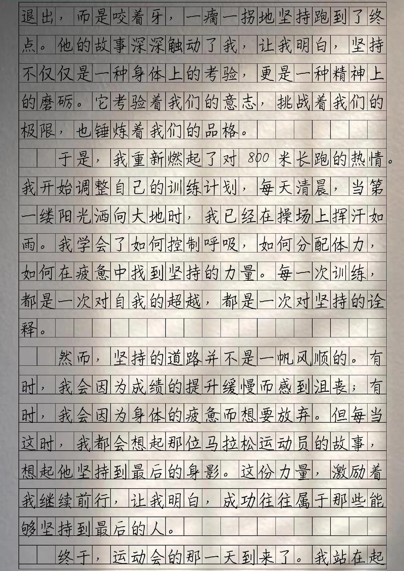 坚持和决心是取得成功的关键——运动日记 第1张 坚持和决心是取得成功的关键——运动日记 第1张