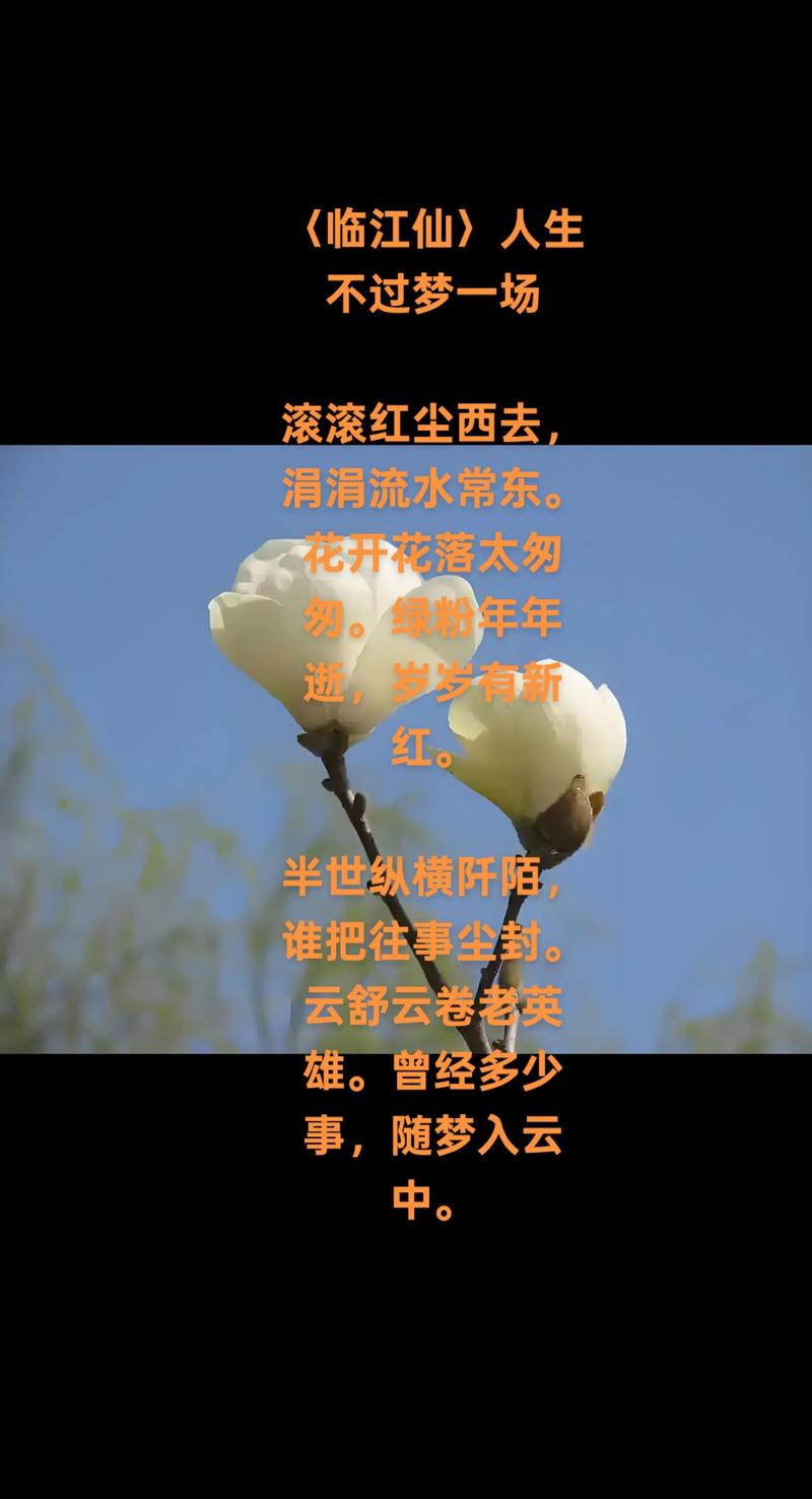 时光若梦,岁月惊鸿,繁花似锦觅安宁,淡云流水度此生 第1张 时光若梦,岁月惊鸿,繁花似锦觅安宁,淡云流水度此生 第1张