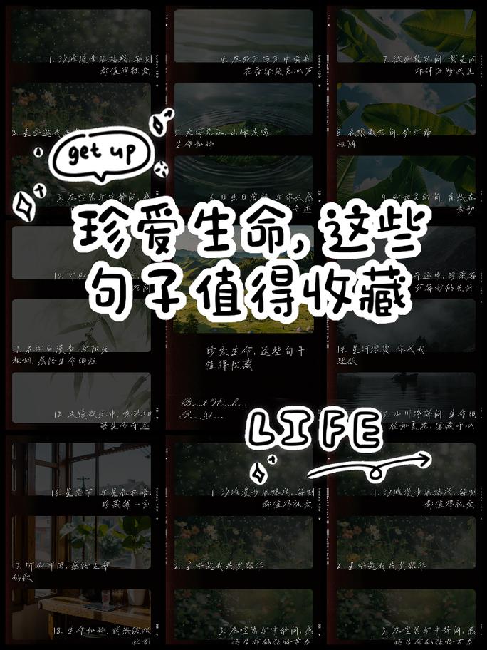 关于珍爱生命的名言,珍爱生命,感悟名言的智慧 第1张 关于珍爱生命的名言,珍爱生命,感悟名言的智慧 第1张