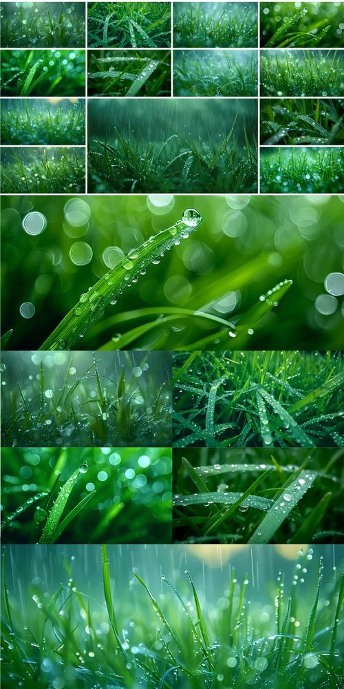 露珠集 第1张 露珠集 第1张