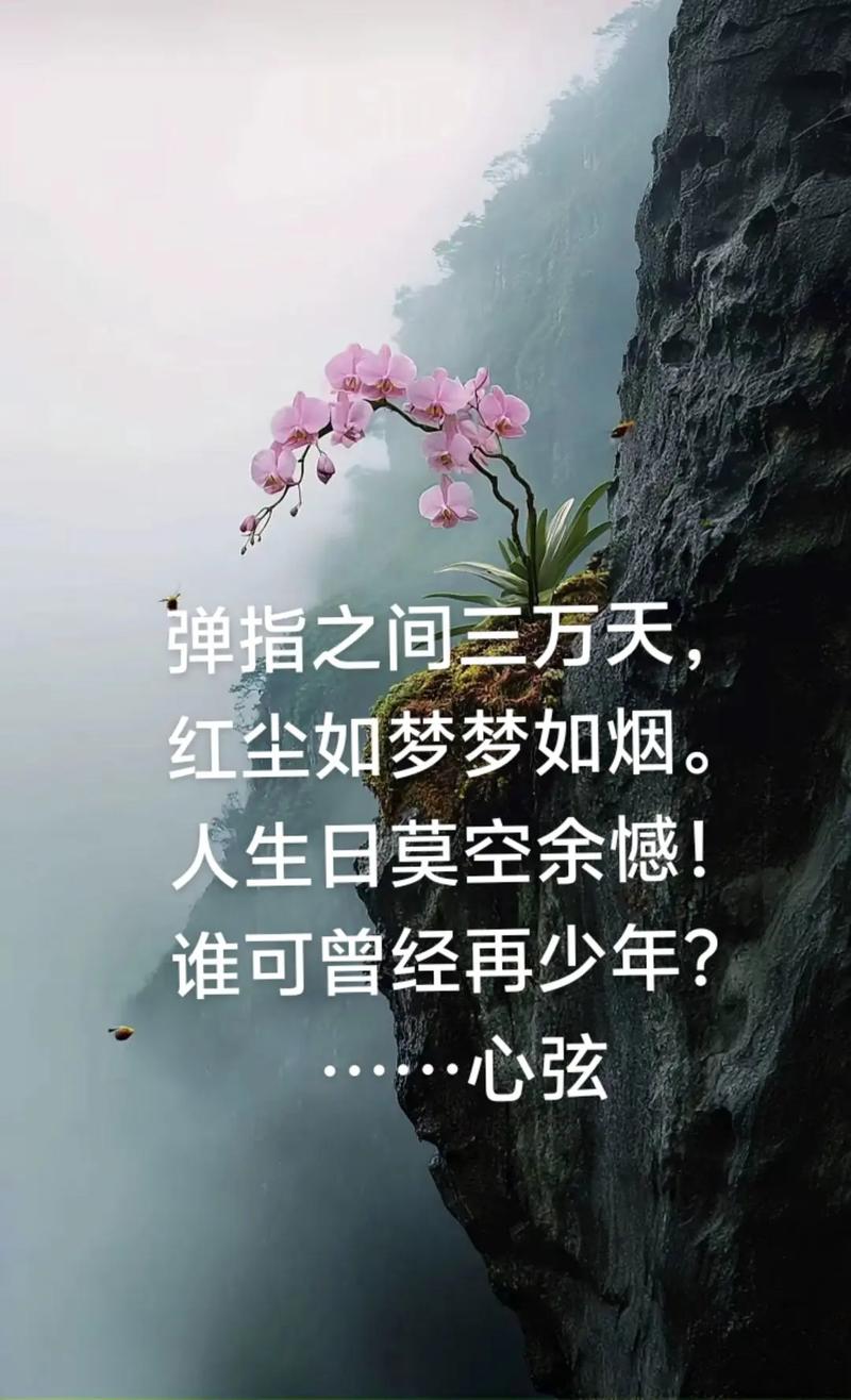 红尘一卷醉千年 第1张 红尘一卷醉千年 第1张