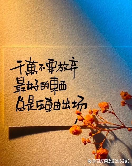 经典励志人生感悟，经典励志人生感悟，追寻梦想，勇往直前。  第1张