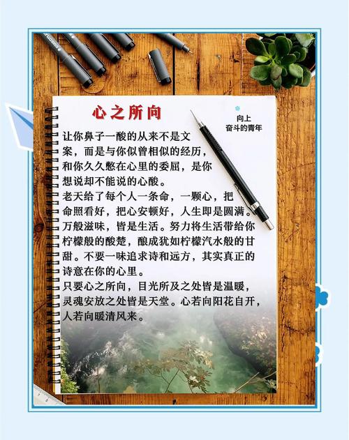 心理美文《心若向阳》,心若向阳,心理美文的力量 第1张 心理美文《心若向阳》,心若向阳,心理美文的力量 第1张