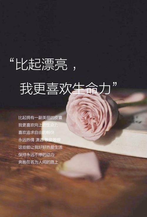 生命因你而美丽 第1张 生命因你而美丽 第1张