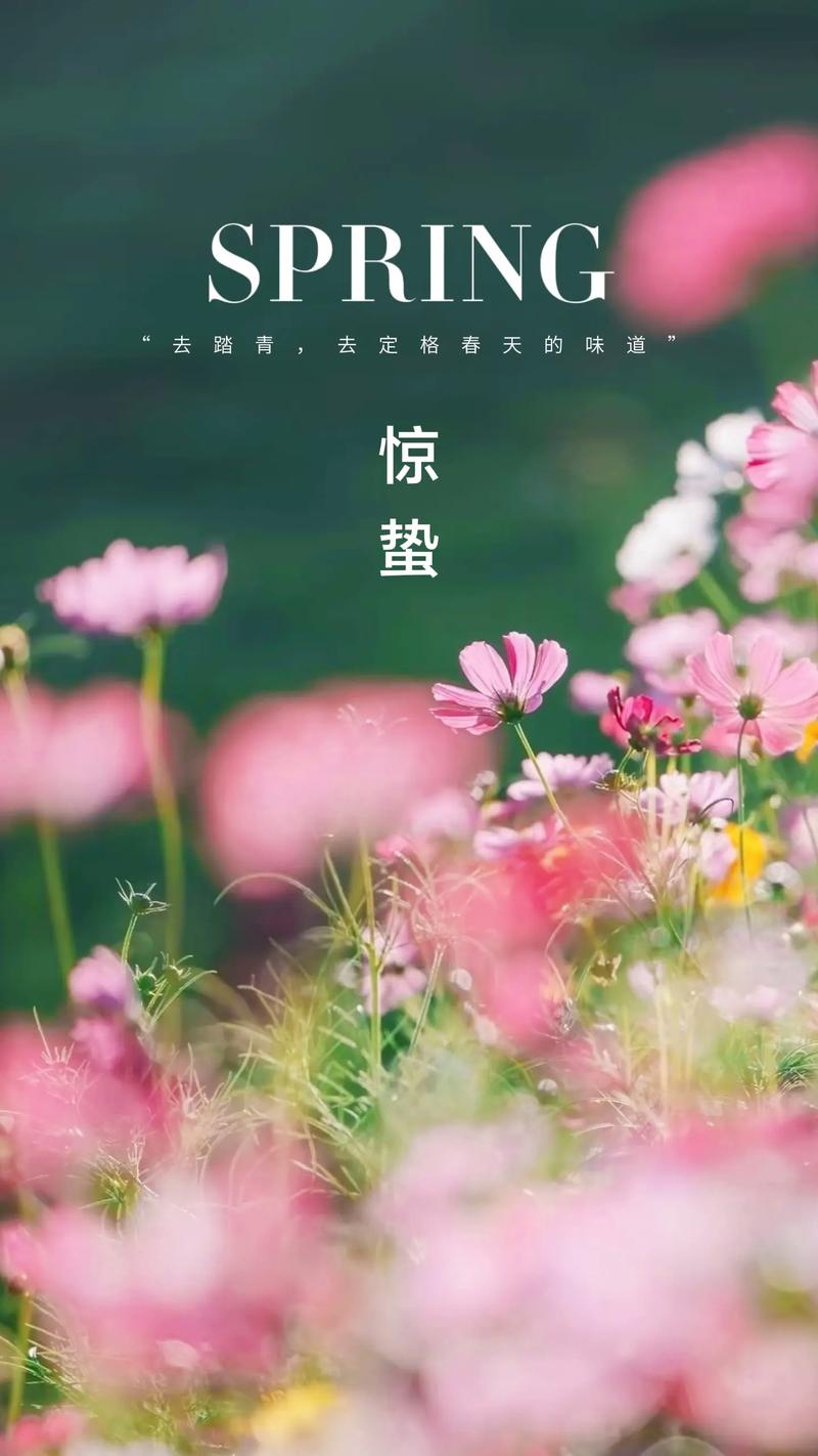 蛰伏的温暖 第1张 蛰伏的温暖 第1张