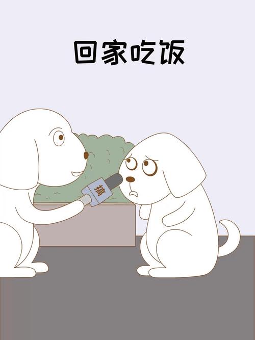 你回家吃饭了吗  第1张