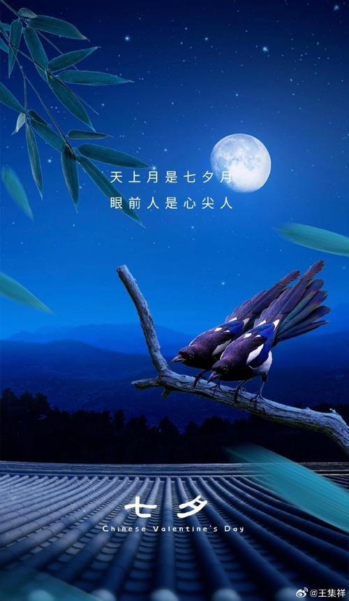 七夕 第1张 七夕 第1张