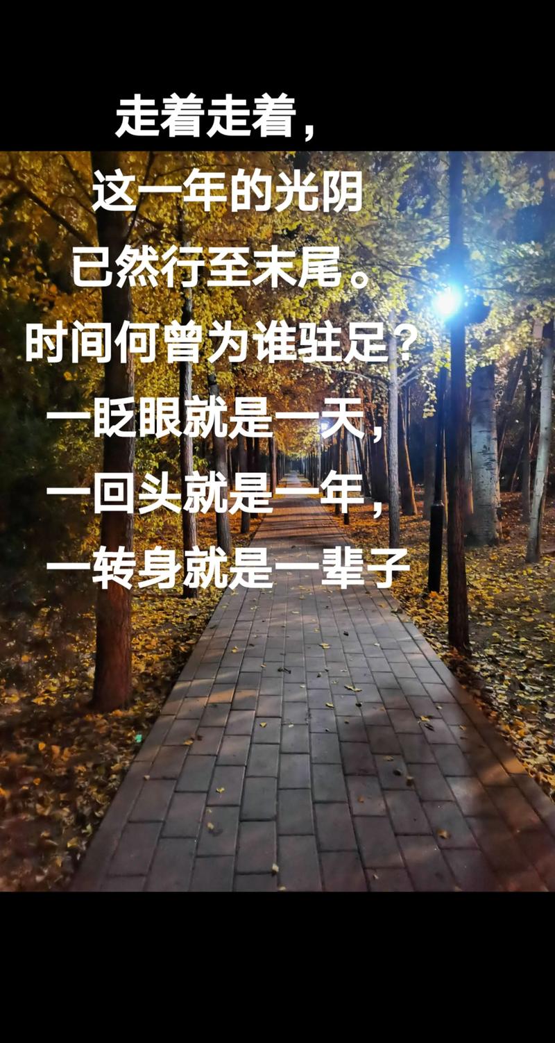 时光带走了什么 第1张 时光带走了什么 第1张