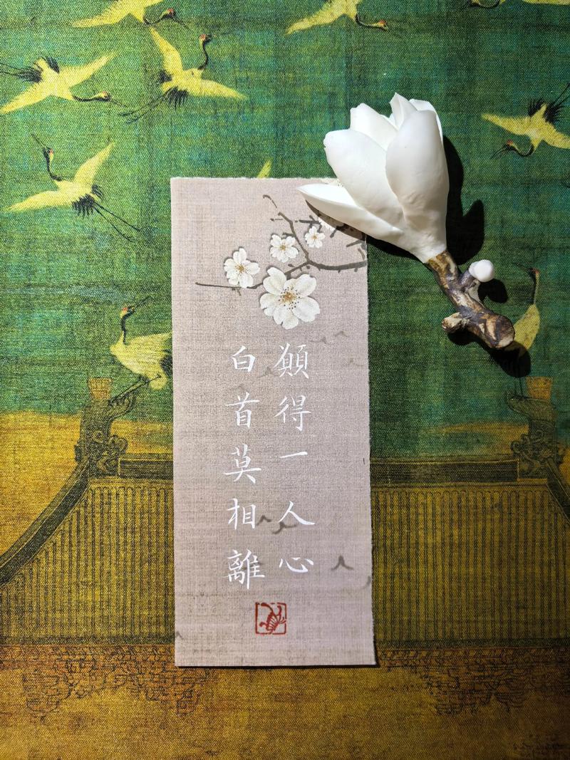 文字的魅力 第1张 文字的魅力 第1张