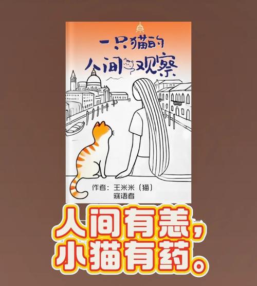 流浪,是一种重生 第1张 流浪,是一种重生 第1张