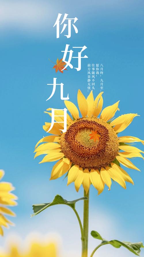 八月再见,九月你好唯美文案,总有一句适合你 第1张 八月再见,九月你好唯美文案,总有一句适合你 第1张