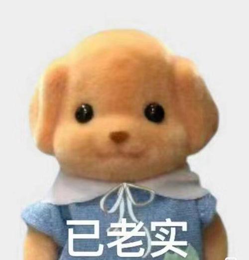 老实的我害怕失去 第1张 老实的我害怕失去 第1张