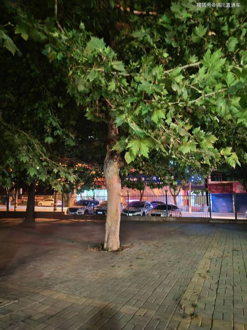 初夏的夜晚 第1张 初夏的夜晚 第1张