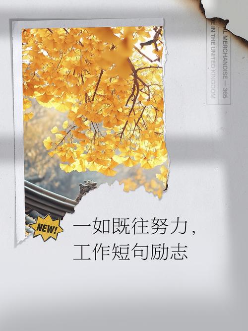 努力工作正能量的句子 努力奋斗说说感悟朋友圈配文 第1张 努力工作正能量的句子 努力奋斗说说感悟朋友圈配文 第1张