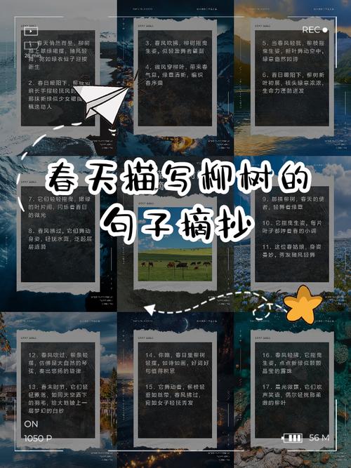 描写春天的优美语句摘抄 第1张 描写春天的优美语句摘抄 第1张