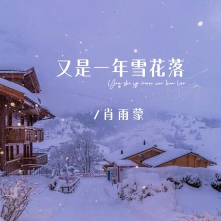 又是一年飘雪时 第1张 又是一年飘雪时 第1张