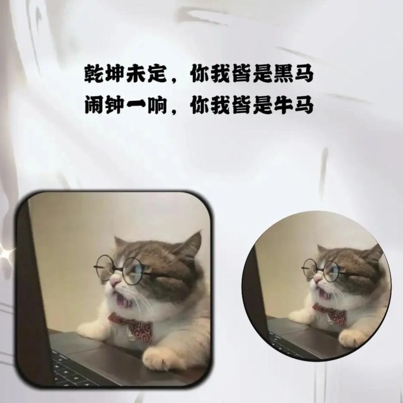 奋斗时期的治愈短句,乾坤未定,你我皆是黑马,加油 第1张 奋斗时期的治愈短句,乾坤未定,你我皆是黑马,加油 第1张