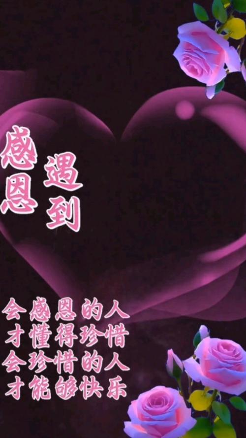 最好的感恩 第1张 最好的感恩 第1张
