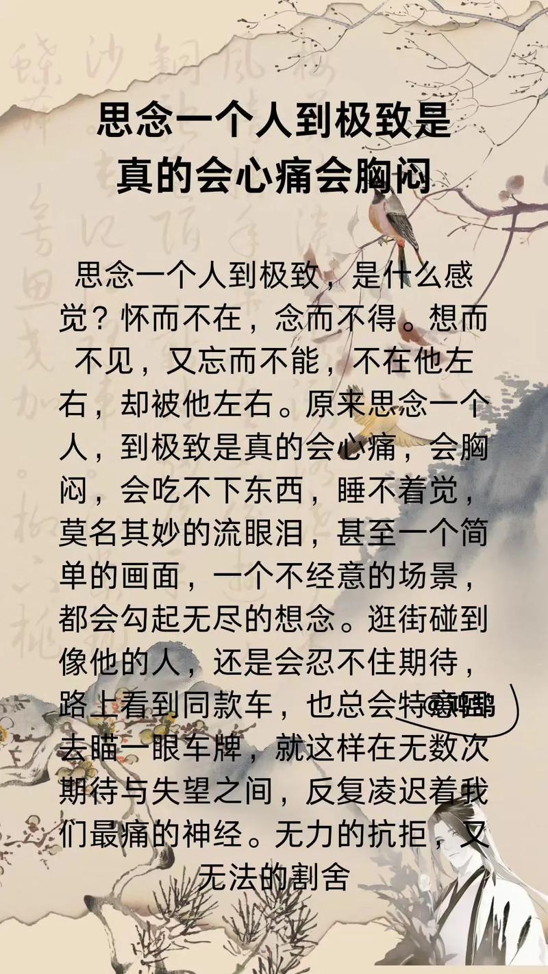 品读那一份思念 第1张 品读那一份思念 第1张