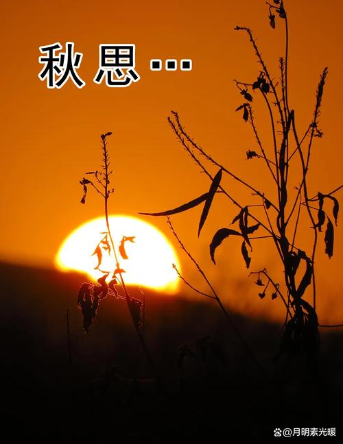 秋天,当见故人 第1张 秋天,当见故人 第1张