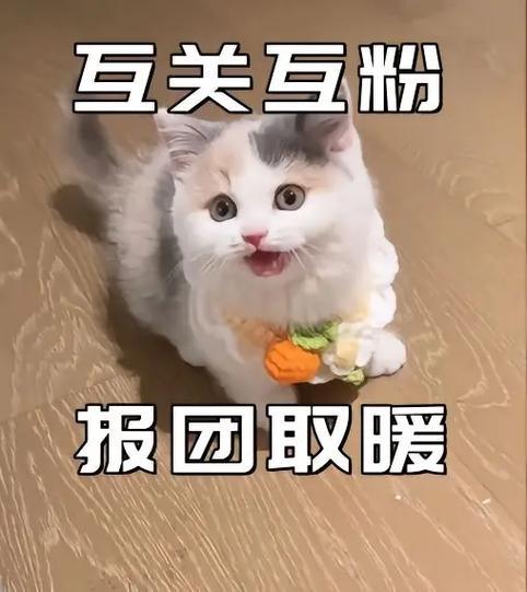 希望善良的友友们支持,让我尽快达到100个粉丝,大家一起加油 第1张 希望善良的友友们支持,让我尽快达到100个粉丝,大家一起加油 第1张