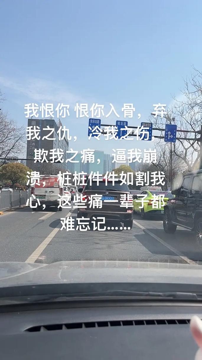 对不起恨你我做不到 第1张 对不起恨你我做不到 第1张