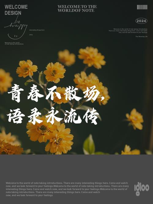 往事成追忆,青春总无敌 第1张 往事成追忆,青春总无敌 第1张