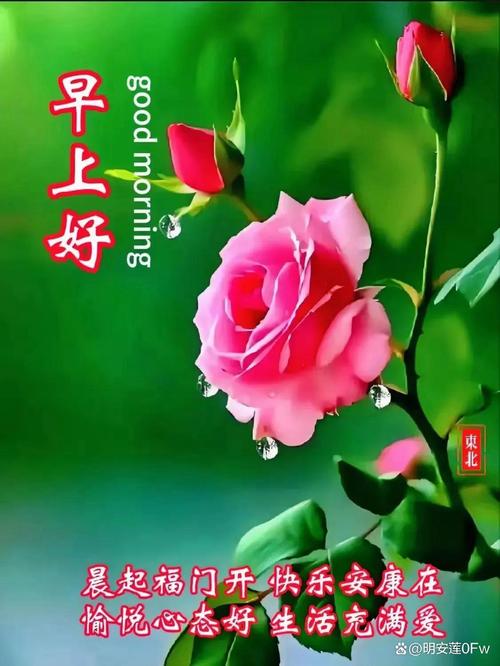 精选过往的晨语祝精福,以飨朋友寄托情思 第1张 精选过往的晨语祝精福,以飨朋友寄托情思 第1张