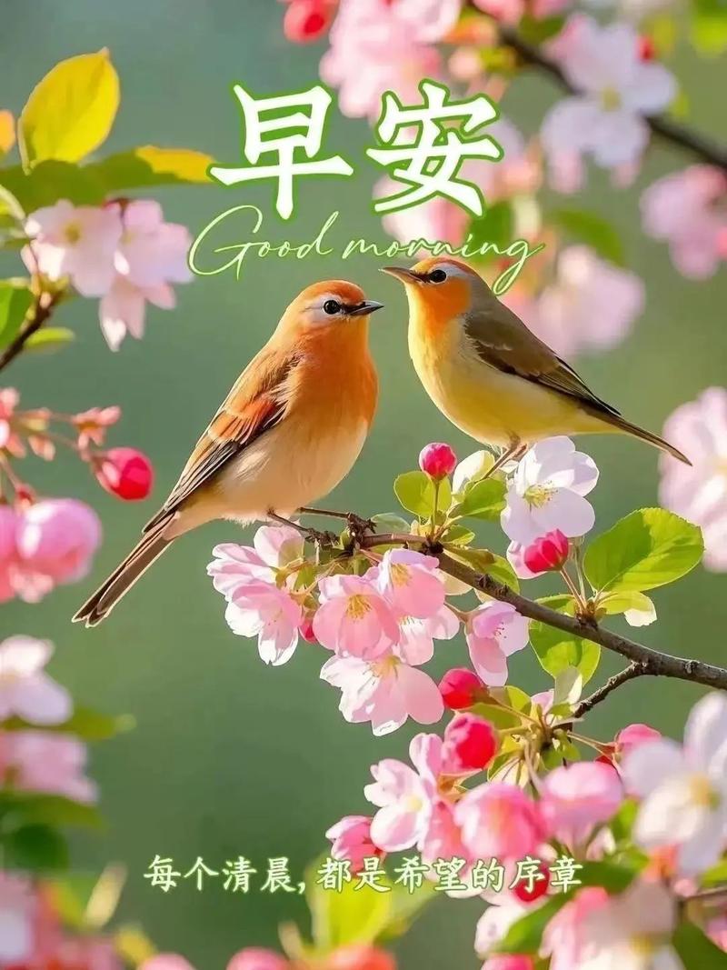 轻轻睁开眼,鸟儿欢叫甜;微微打开窗,清新满心间,早安 第1张 轻轻睁开眼,鸟儿欢叫甜;微微打开窗,清新满心间,早安 第1张